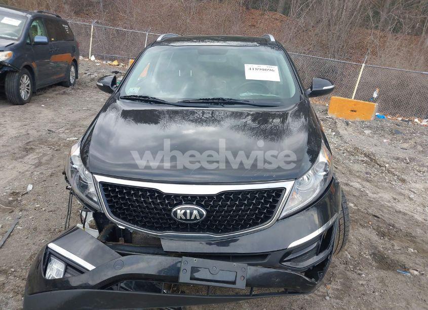 Photo 13 of 2016 Kia Sportage EX (VIN KNDPCCAC8G7862061)