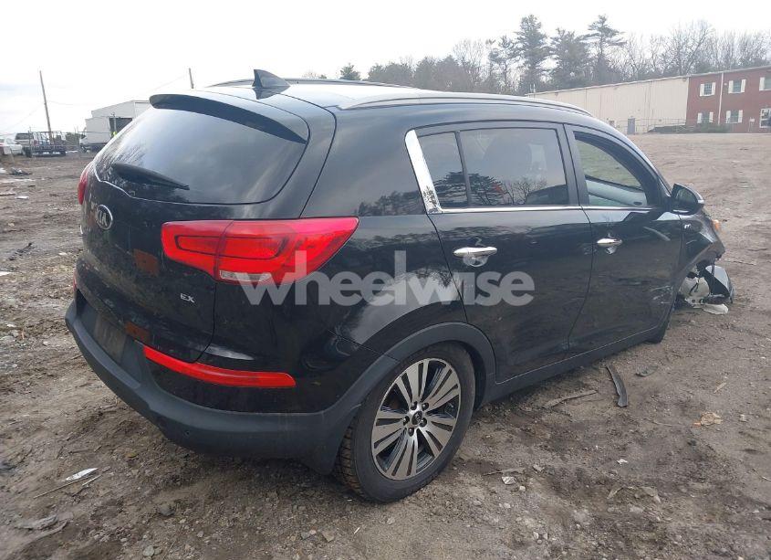 Photo 4 of 2016 Kia Sportage EX (VIN KNDPCCAC8G7862061)