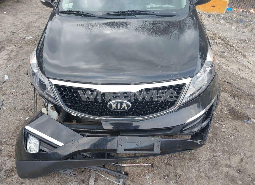 Photo 6 of 2016 Kia Sportage EX (VIN KNDPCCAC8G7862061)