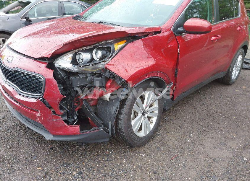 Photo 6 of 2019 Kia Sportage LX (VIN KNDPM3AC0K7548216)