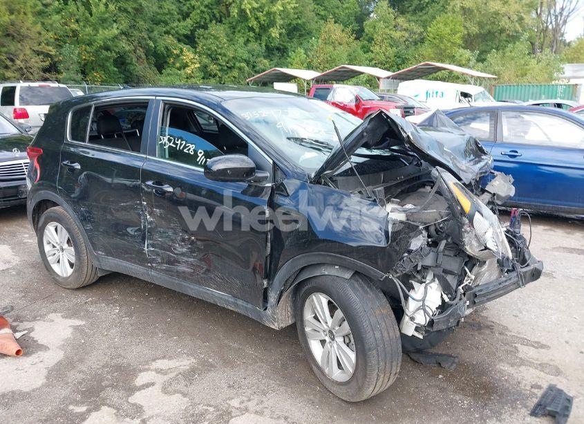 2019 Kia Sportage LX (VIN KNDPM3AC2K7504105) main photo