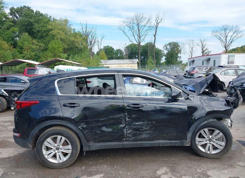 Photo 12 of 2019 Kia Sportage LX (VIN KNDPM3AC2K7504105)