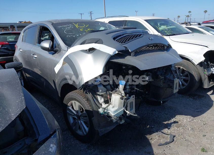 2019 Kia Sportage LX (VIN KNDPM3AC2K7619996) main photo