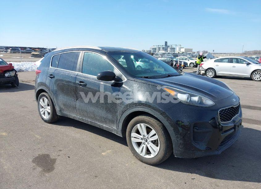 2019 Kia Sportage LX (VIN KNDPM3AC3K7529594) main photo