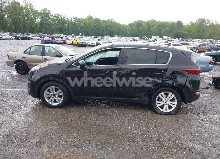 Photo 15 of 2017 Kia Sportage LX (VIN KNDPM3AC4H7233136)