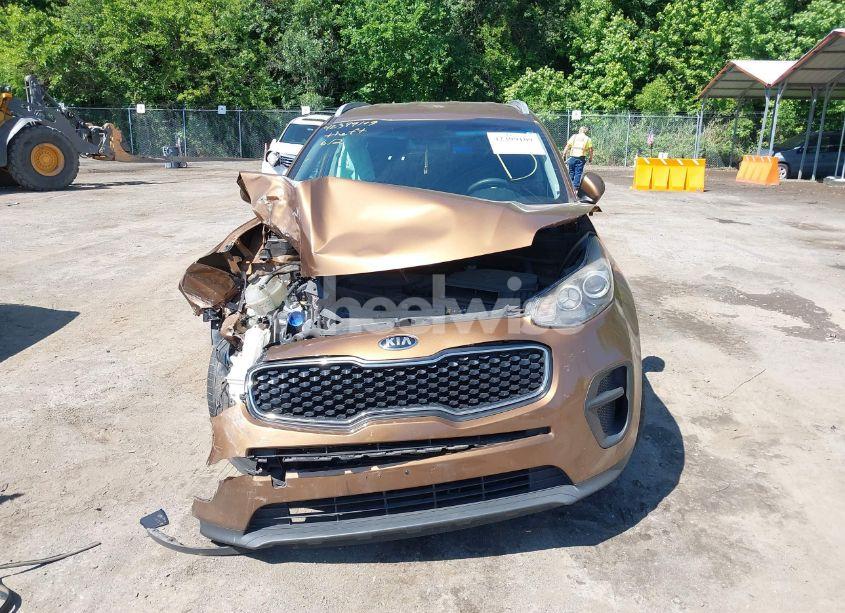Photo 12 of 2018 Kia Sportage LX (VIN KNDPM3AC5J7400173)