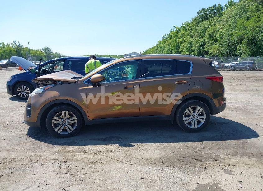 Photo 14 of 2018 Kia Sportage LX (VIN KNDPM3AC5J7400173)