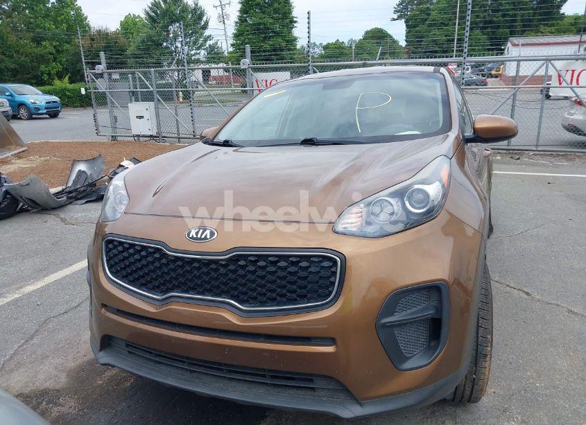 Photo 13 of 2017 Kia Sportage LX (VIN KNDPM3AC7H7176849)