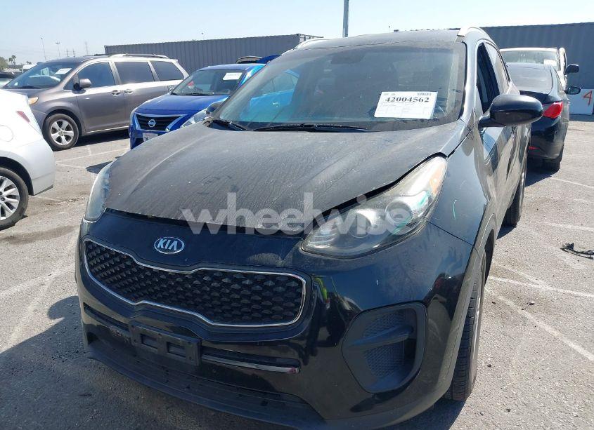 Photo 12 of 2017 Kia Sportage LX (VIN KNDPM3AC8H7049446)