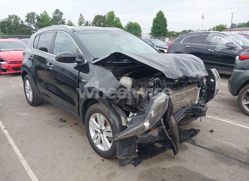 2017 Kia Sportage LX (VIN KNDPMCAC1H7220862) main photo