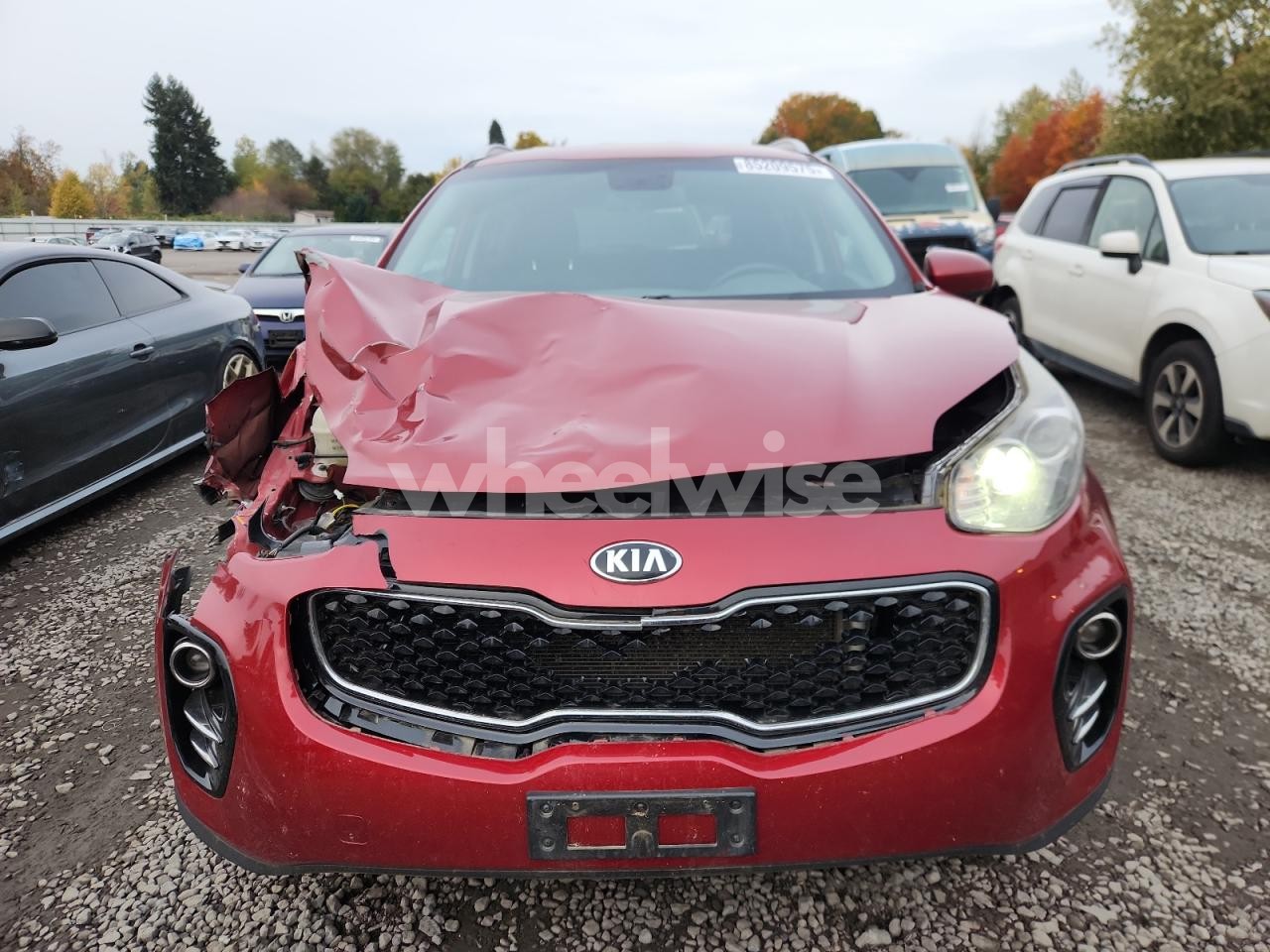 Photo 5 of 2017 KIA SPORTAGE LX (VIN KNDPMCAC2H7152927)