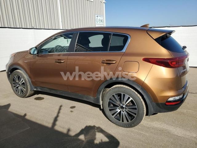 Photo 6 of 2021 KIA SPORTAGE LX (VIN KNDPMCAC5M7925092)