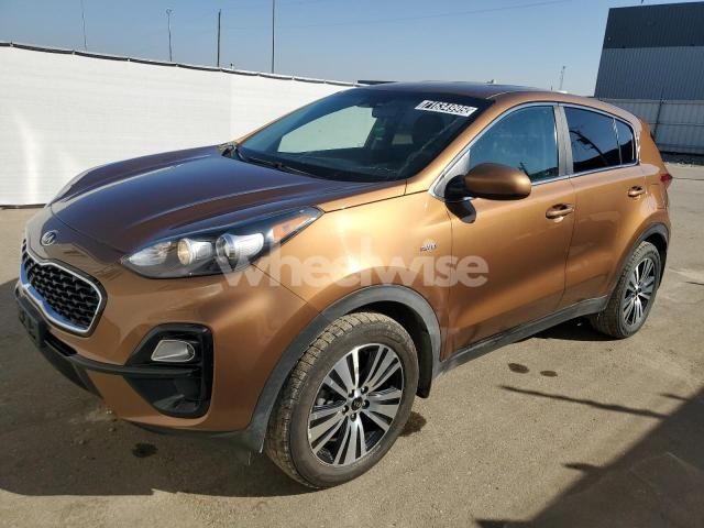 Photo 7 of 2021 KIA SPORTAGE LX (VIN KNDPMCAC5M7925092)