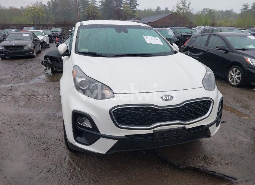 Photo 12 of 2022 Kia Sportage LX (VIN KNDPMCAC7N7008656)