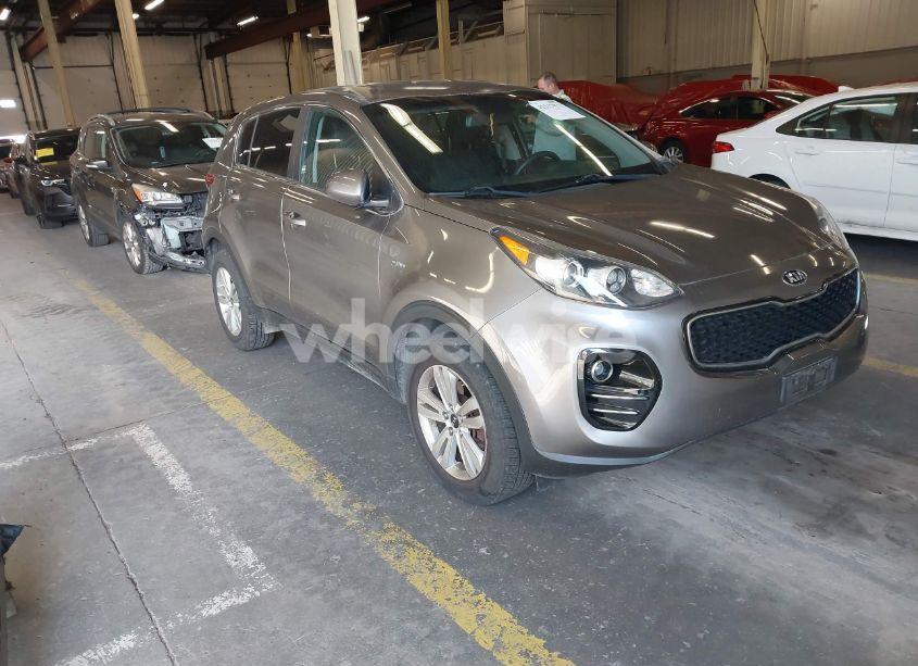 2017 Kia Sportage LX (VIN KNDPMCAC8H7135999) main photo