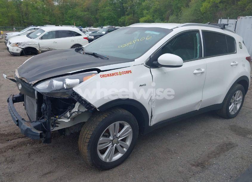 Photo 14 of 2019 Kia Sportage LX (VIN KNDPMCAC9K7590335)