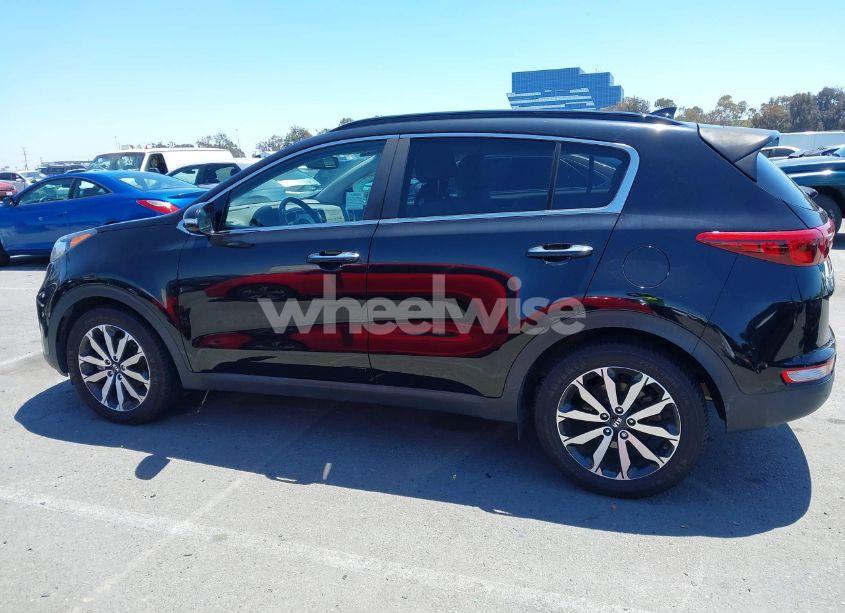Photo 14 of 2019 Kia Sportage EX (VIN KNDPN3AC2K7602435)