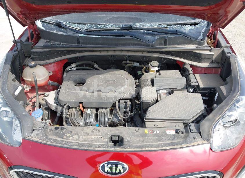 Photo 10 of 2022 Kia Sportage EX (VIN KNDPN3AC5N7990717)