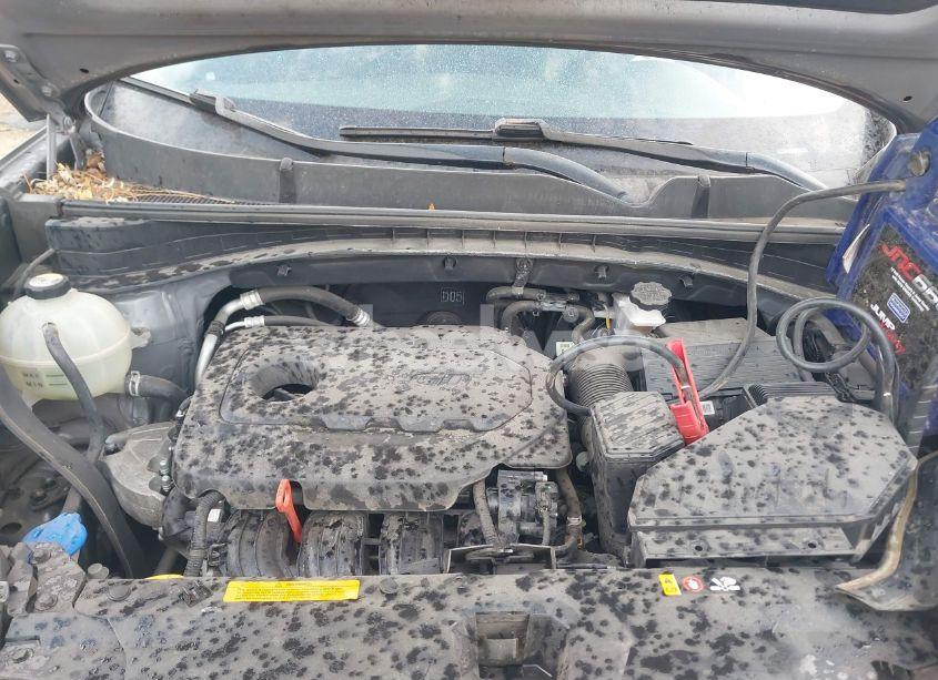 Photo 10 of 2017 Kia Sportage EX (VIN KNDPNCAC7H7269254)