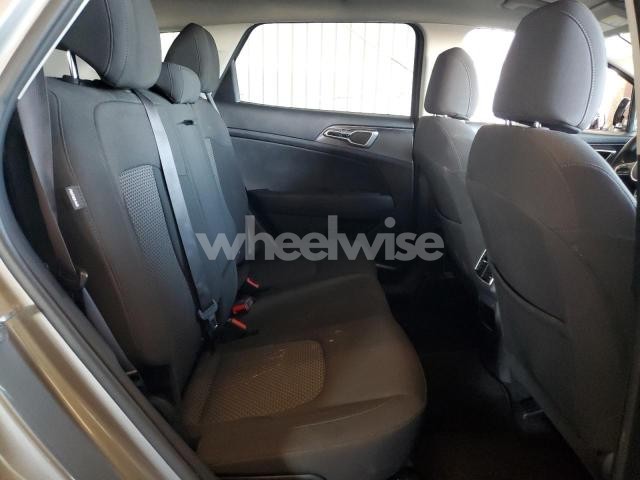 Photo 14 of 2024 KIA SPORTAGE LX (VIN KNDPU3DF6R7303260)