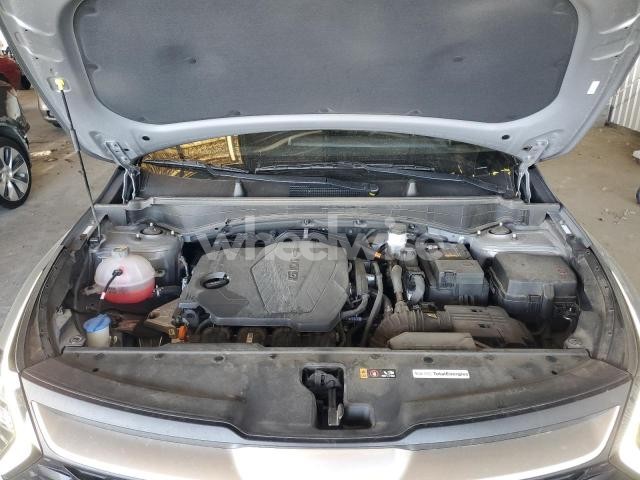 Photo 3 of 2024 KIA SPORTAGE LX (VIN KNDPU3DF6R7303260)