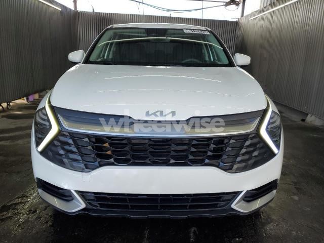 Photo 8 of 2025 KIA SPORTAGE LX (VIN KNDPU3DF6S7358765)