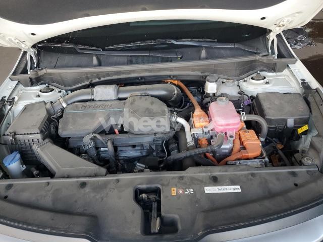 Photo 10 of 2025 KIA SPORTAGE LX (VIN KNDPU3DG1S7187755)