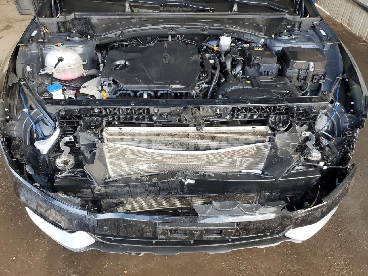 Photo 12 of 2024 KIA SPORTAGE LX (VIN KNDPUCDF9R7290021)