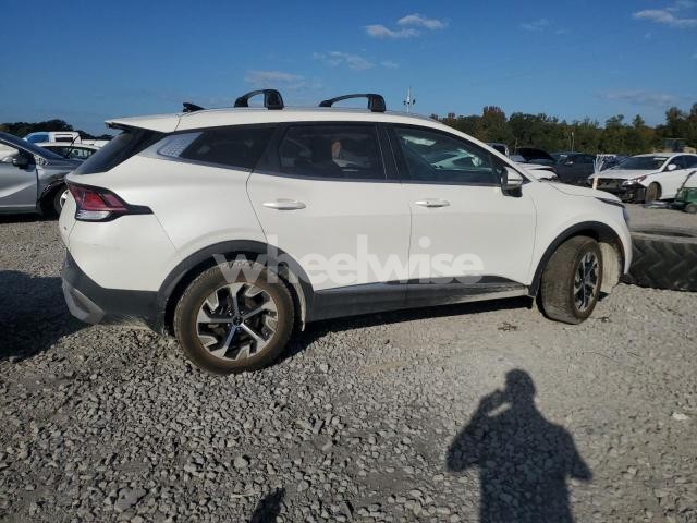 Photo 14 of 2023 KIA SPORTAGE EX (VIN KNDPVCAG4P7076075)