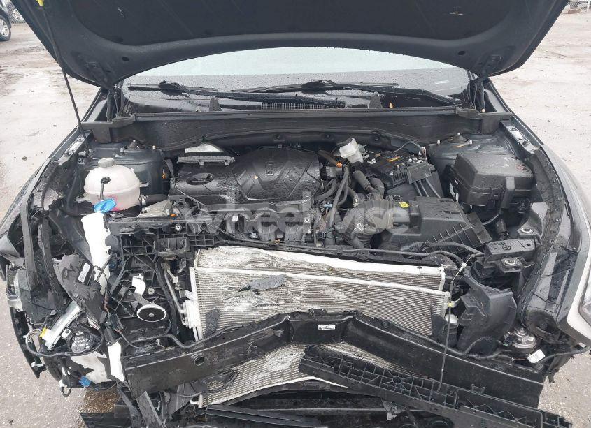 Photo 10 of 2024 Kia Sportage EX (VIN KNDPVCDF0R7216970)