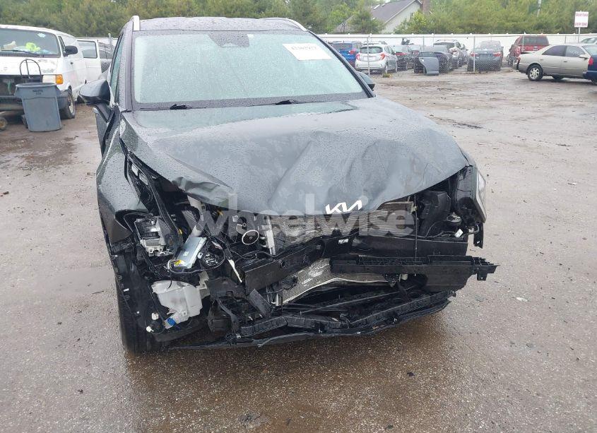 Photo 6 of 2024 Kia Sportage EX (VIN KNDPVCDF0R7216970)