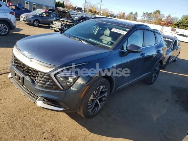 Photo 12 of 2024 KIA SPORTAGE EX (VIN KNDPVCDG1R7123738)