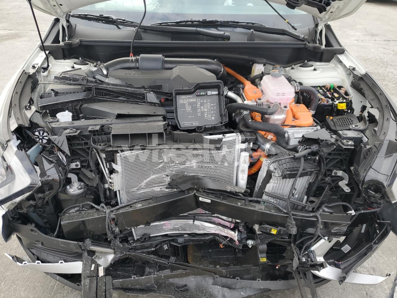 Photo 12 of 2025 KIA SPORTAGE EX (VIN KNDPVCDG3S7217903)