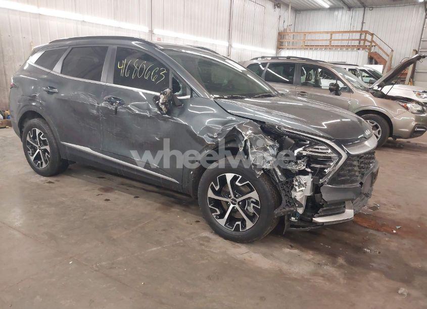 2024 Kia Sportage HYBRID EX (VIN KNDPVCDGXR7162828) main photo