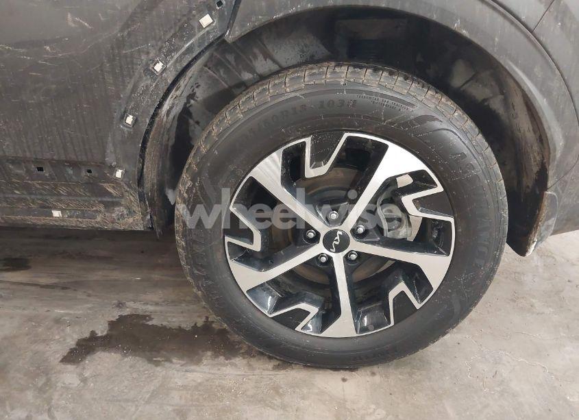 Photo 12 of 2024 Kia Sportage HYBRID EX (VIN KNDPVCDGXR7162828)