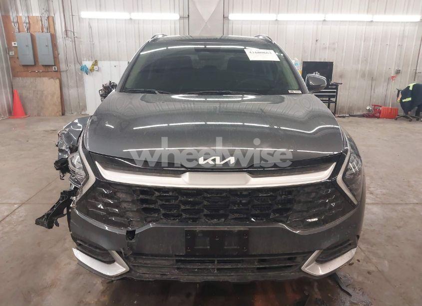 Photo 13 of 2024 Kia Sportage HYBRID EX (VIN KNDPVCDGXR7162828)