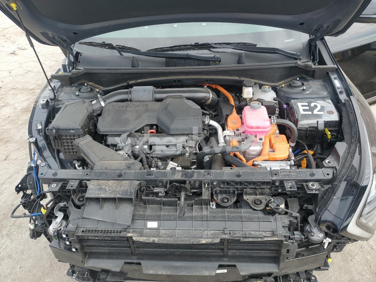 Photo 12 of 2025 KIA SPORTAGE SX PRESTIGE (VIN KNDPXCDG1S7224553)