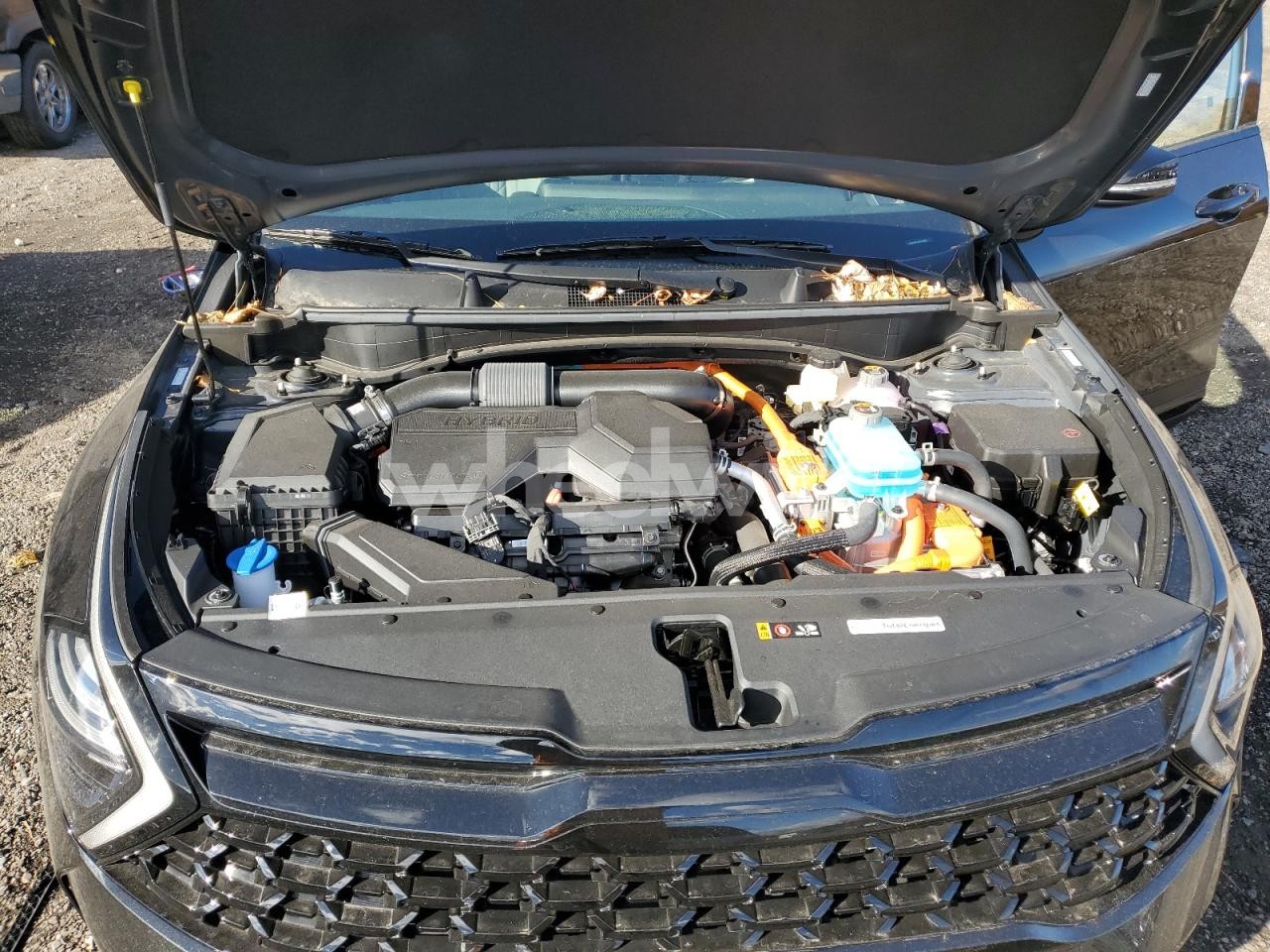 Photo 12 of 2025 KIA SPORTAGE X LINE (VIN KNDPYDDH9S7246988)