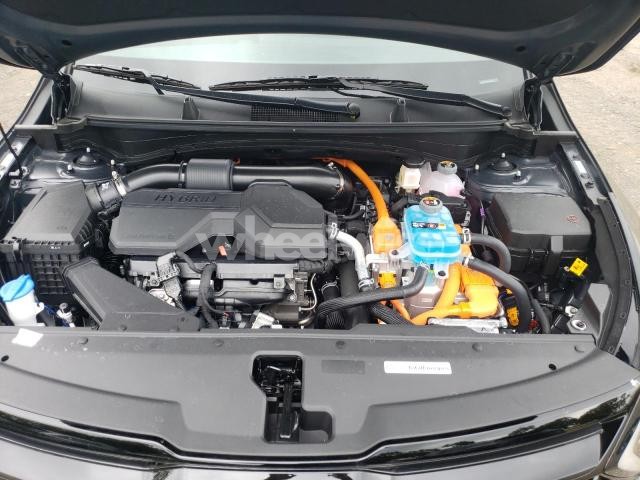 Photo 11 of 2025 KIA SPORTAGE X LINE (VIN KNDPYDDHXS7258681)