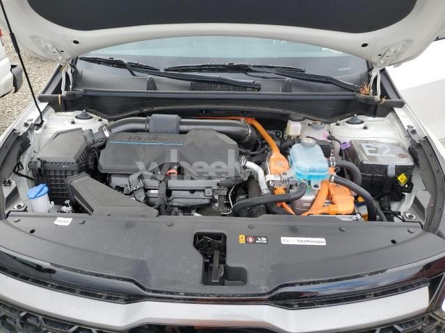 Photo 5 of 2024 KIA SPORTAGE X-LINE PRESTIGE (VIN KNDPZDDH6R7138920)