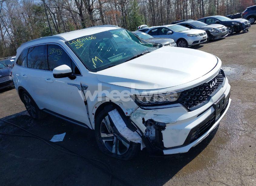 2024 Kia Sorento HYBRID EX (VIN KNDRHDLG5R5259177) main photo