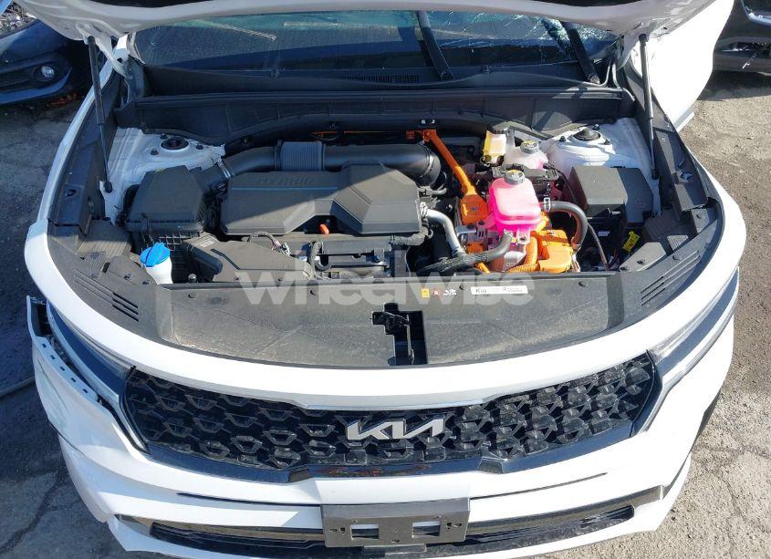 Photo 10 of 2024 Kia Sorento HYBRID EX (VIN KNDRHDLG5R5259177)