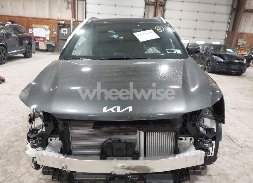 Photo 13 of 2025 Kia Sorento HYBRID SX PRESTIGE (VIN KNDRKDJG3S5353830)