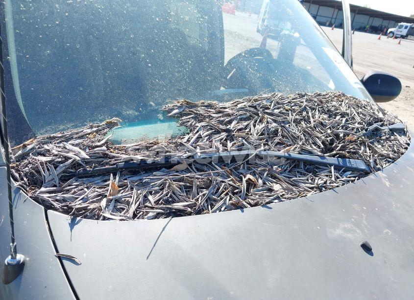 Photo 6 of 2003 Kia Sedona EX/LX (VIN KNDUP131436400247)