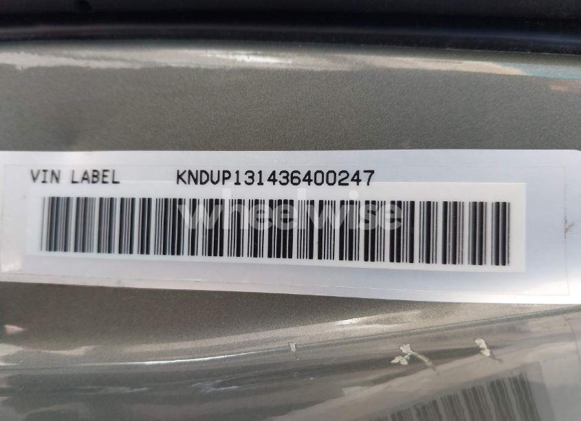 Photo 9 of 2003 Kia Sedona EX/LX (VIN KNDUP131436400247)