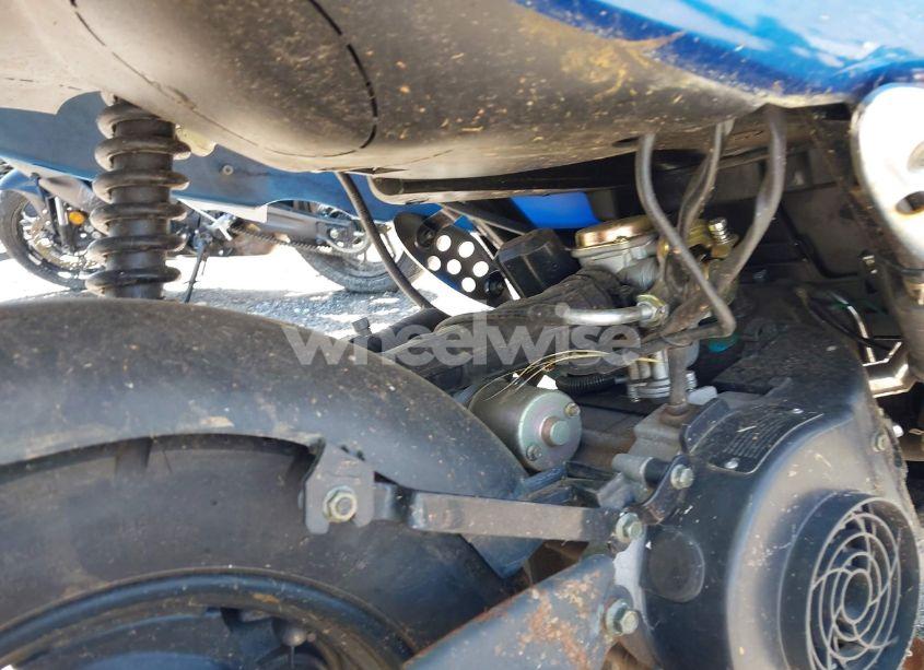 Photo 10 of 2022 Tao Vip FUTURE CHAMPION (VIN L9NTCBAD6N1300257)