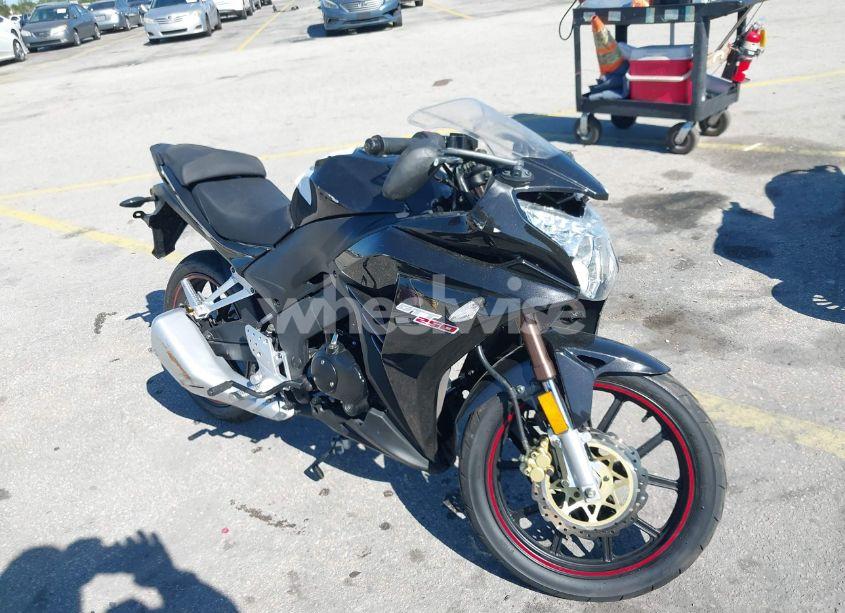 2023 Bashan Bashanmotorcycle N/A (VIN LHJPCNBR4PB500384) main photo