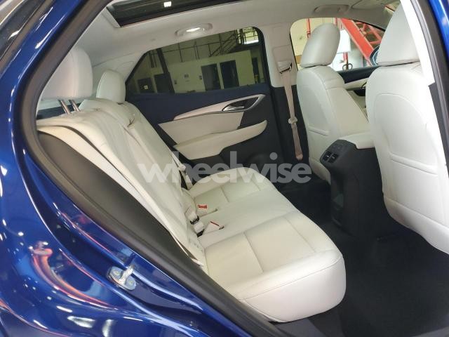 Photo 8 of 2025 BUICK ENVISION AVENIR N/A (VIN LRBFZME49SD015013)