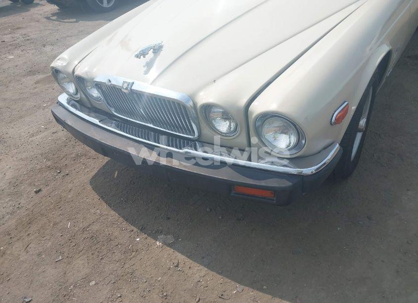 Photo 6 of 1986 Jaguar Xj6 N/A (VIN SAJAV1341GC431953)