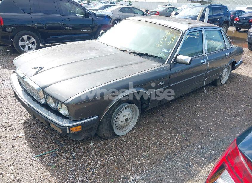 Photo 2 of 1988 Jaguar Xj6 (VIN SAJHV1543JC519549)